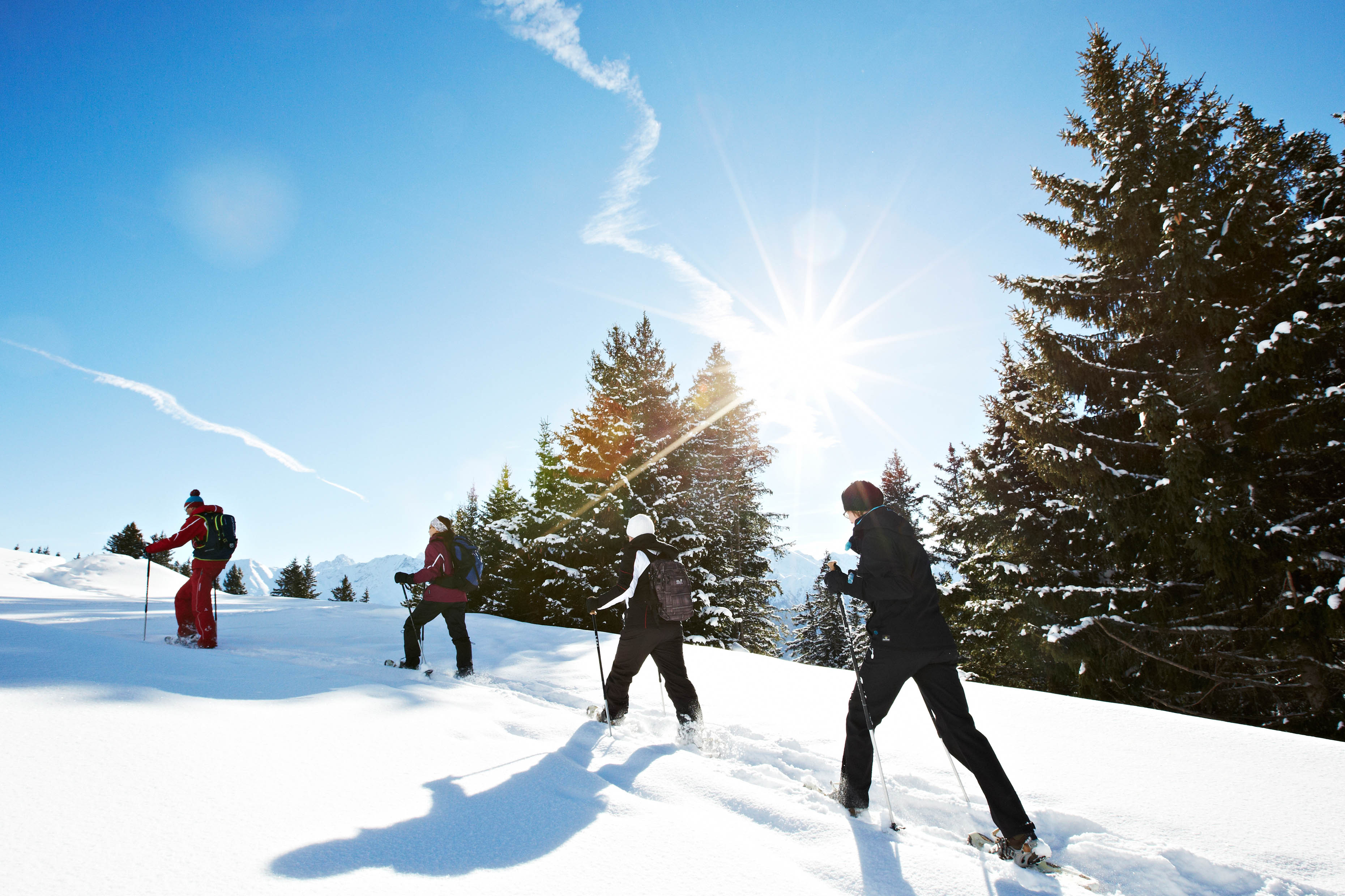 © Skischule Fiss-Ladis, Christian Waldegger Image